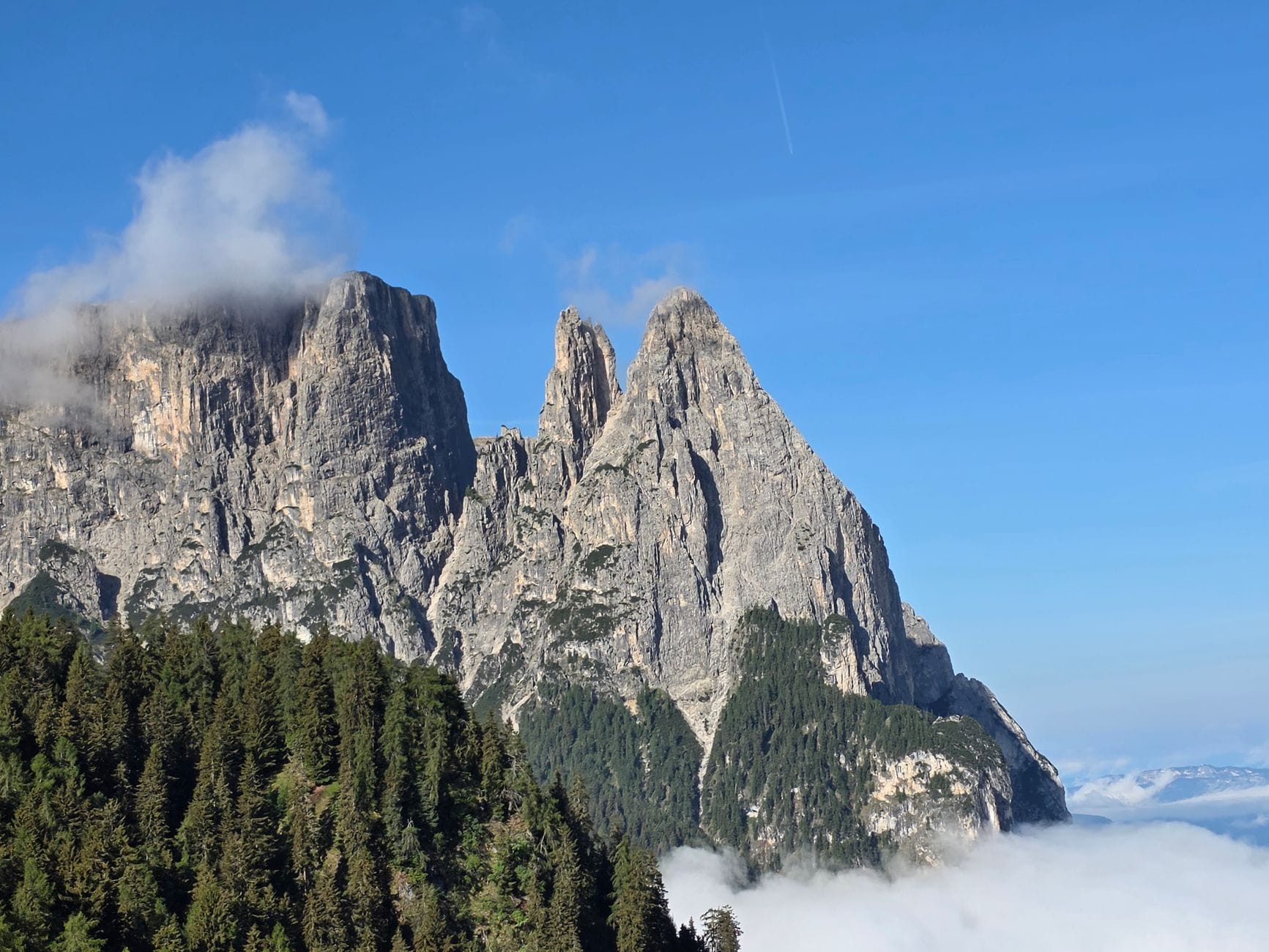 Dolomity ponad lasem we mgle w słoneczny dzień
